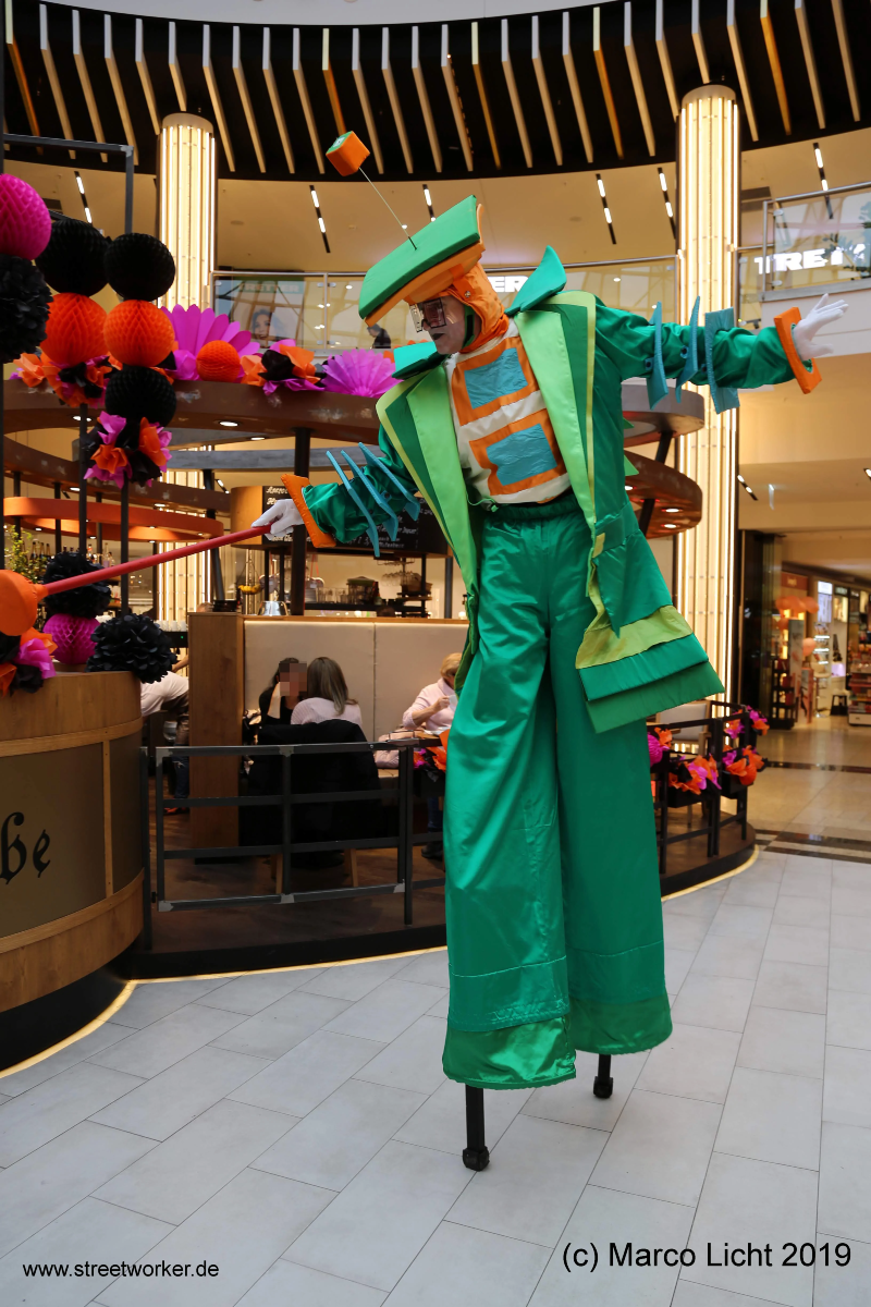 Der Drachenbändiger